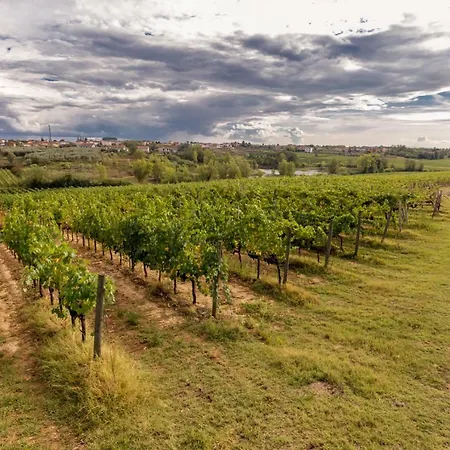 Agriturismo Tenute Poggio Di Bobi Farm stay Lamporecchio