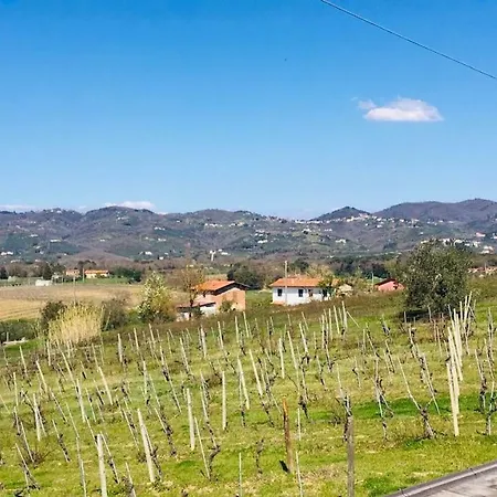 Agriturismo Tenute Poggio Di Bobi 农家乐 *