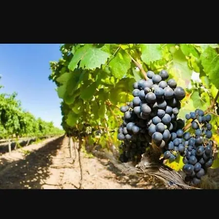 Agriturismo Tenute Poggio Di Bobi